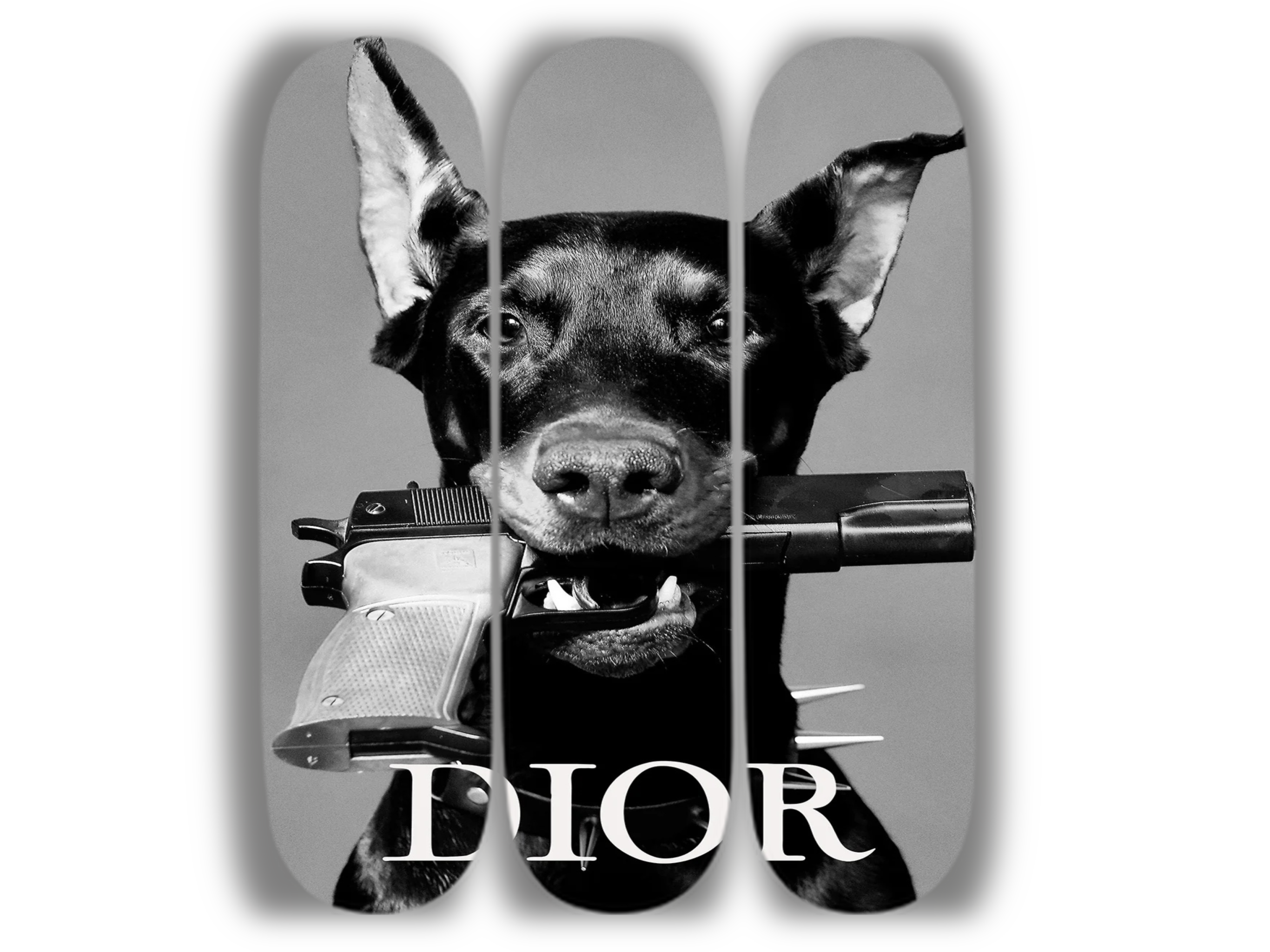 Dior Dog